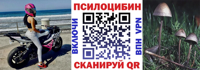 Псилоцибиновые грибы Cubensis  купить закладку  MEGA зеркало  Шарыпово 